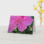 アザレア カード (黄色い花)