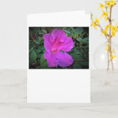 アザレア カード (黄色い花)