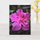 アザレア カード (黄色い花)