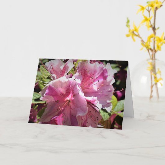 アザレア カード (黄色い花)