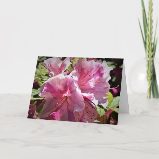 アザレア カード (正面)