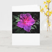 アザレア カード (黄色い花)