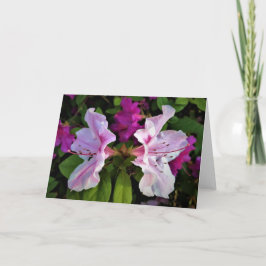 アザレア カード