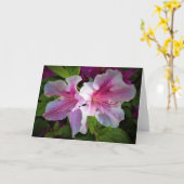 アザレア カード (黄色い花)