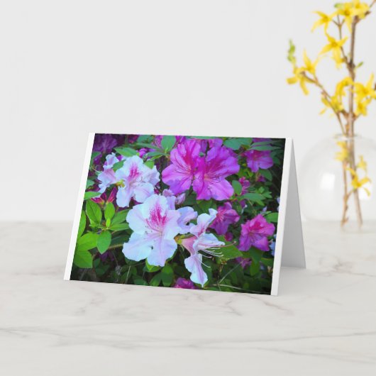 アザレア、カード カード (黄色い花)