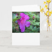 アザレア、カード カード (黄色い花)