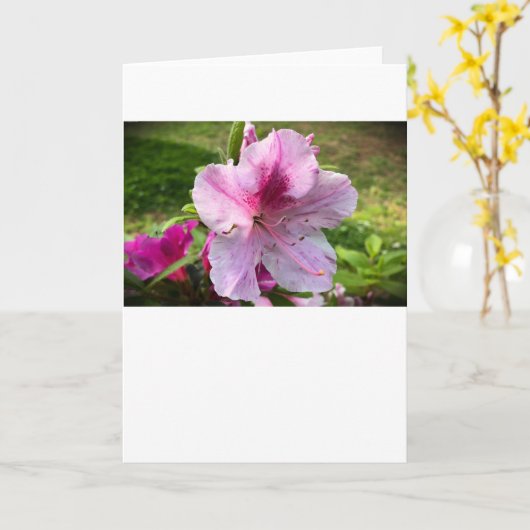 アザレア、カード カード (黄色い花)