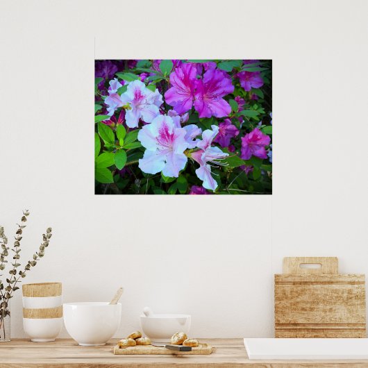 アザレア ポスター (キッチン)