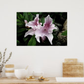 アザレア ポスター (キッチン)