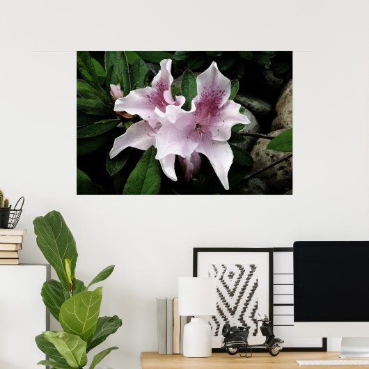 アザレア ポスター (ホームオフィス)