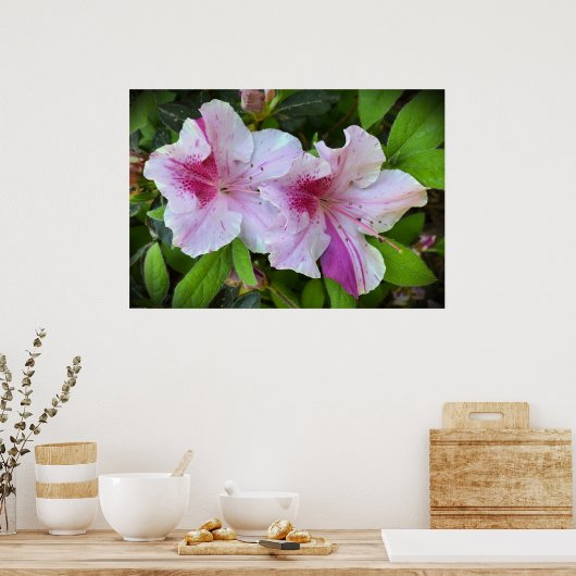 アザレア ポスター (キッチン)