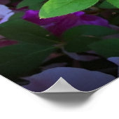 アザレア ポスター (角)