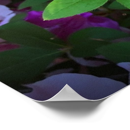 アザレア ポスター (角)