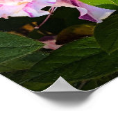 アザレア ポスター (角)