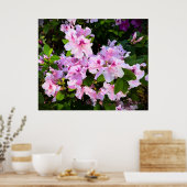 アザレア ポスター (キッチン)