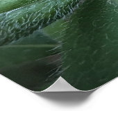 アザレア ポスター (角)