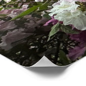 アザレア ポスター (角)