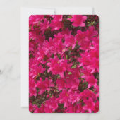 アザレア 招待状 (裏面)