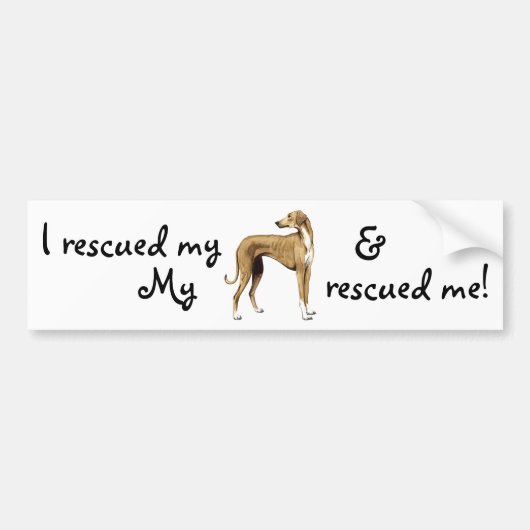 アザワクを救う バンパーステッカー (正面)