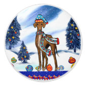 アザーク セラミックノブ (正面)