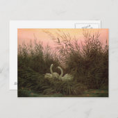 アシの白鳥， c.1820 ポストカード (正面/裏面)