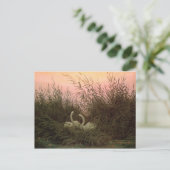 アシの白鳥， c.1820 ポストカード (スタンド正面)