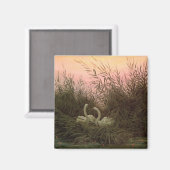 アシの白鳥， c.1820 マグネット (正面/裏面)