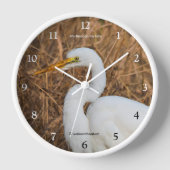 アシエレガントズの素晴らし渉禽 壁時計 (正面)