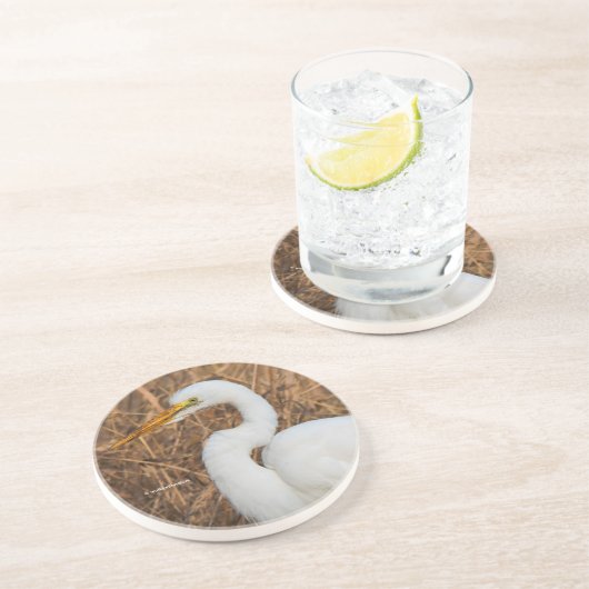 アシエレガント素晴らしズのエグレ コースター (側面)