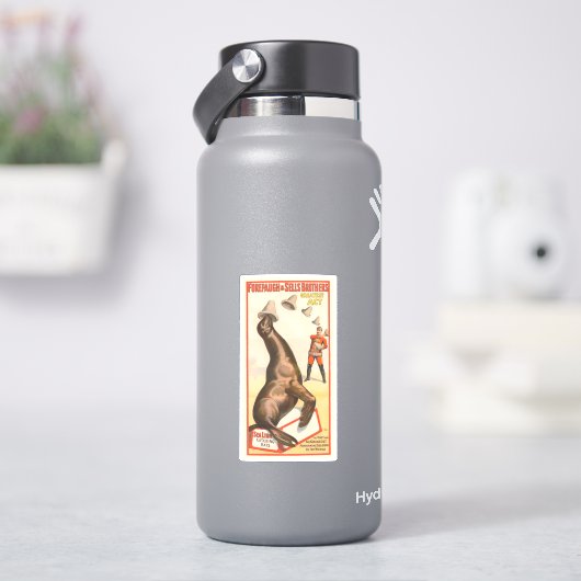 アシカが帽子を取るサーカスのポスター シール (HydroFlask)