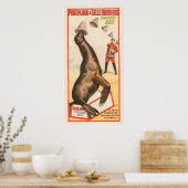 アシカが帽子を取るサーカスのポスター ポスター (キッチン)