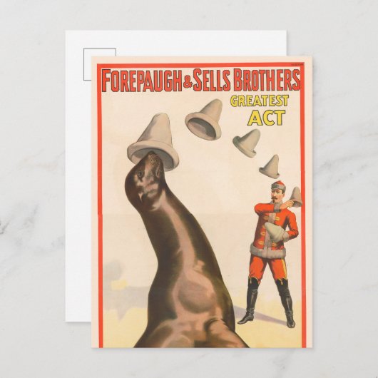 アシカが帽子を取るサーカスのポスター ポストカード (正面/裏面)