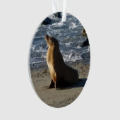 アシカのクリスマスのオーナメント オーナメント (正面)