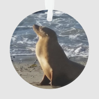 アシカのクリスマスのオーナメント オーナメント
