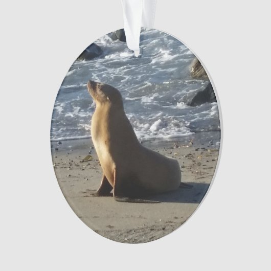 アシカのクリスマスのオーナメント オーナメント (正面)
