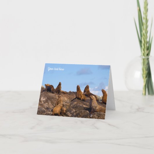 アシカのグリーティングカード カード (正面)