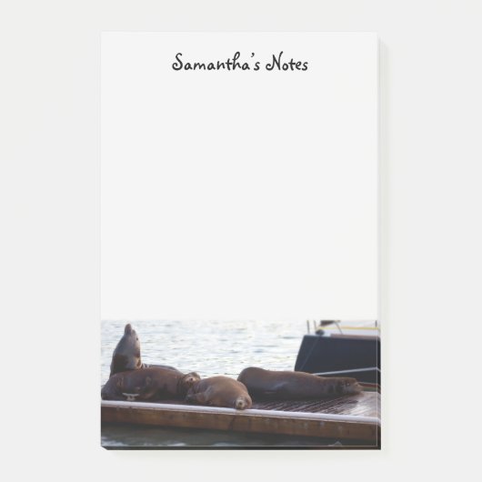 アシカのポストイットノート ポストイット (正面)