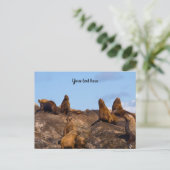 アシカのポストカード ポストカード (スタンド正面)