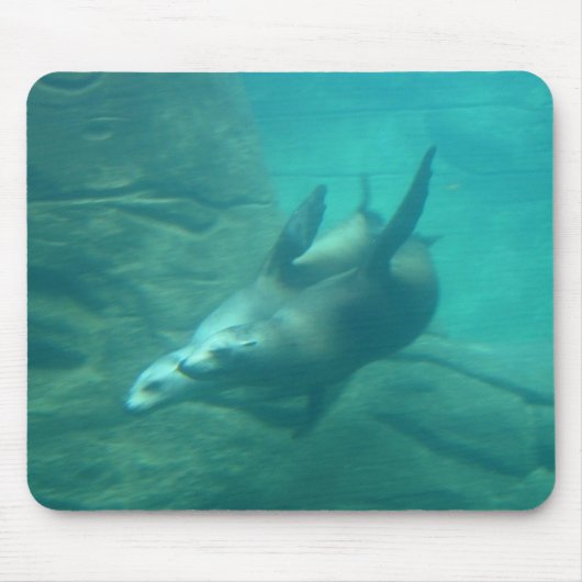 アシカのマウスパッド マウスパッド (正面)