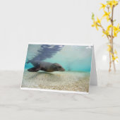 アシカの水中楽園の礁湖 カード (黄色い花)