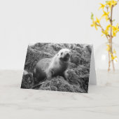 アシカのnotecard カード (黄色い花)