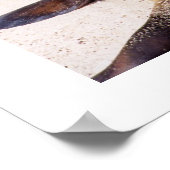 アシカリラックスンの首の筋肉 ポスター (角)