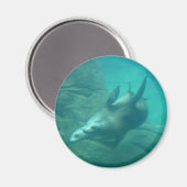 アシカ丸マグネット マグネット (正面/裏面)