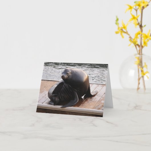 アシカ挨拶カード カード (黄色い花)