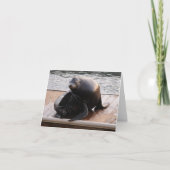 アシカ挨拶カード カード (正面)