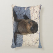 アシカ枕 アクセントクッション (正面(垂直))