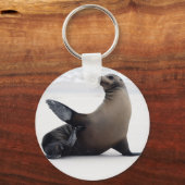 アシカ キーホルダー (正面)