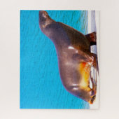 アシカ ジグソーパズル (縦)