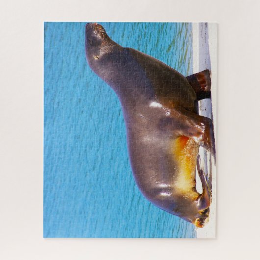 アシカ ジグソーパズル (縦)