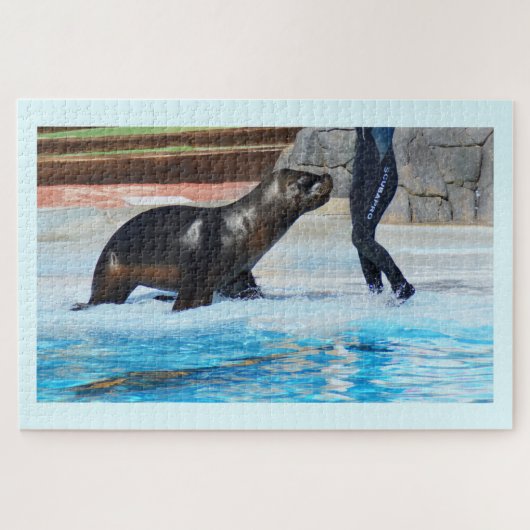 アシカ ジグソーパズル (横)